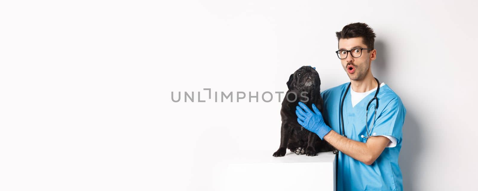 Handsome young veterinarian doctor scratching cute black pug, pet a dog, standing in scrubs over white background by Benzoix