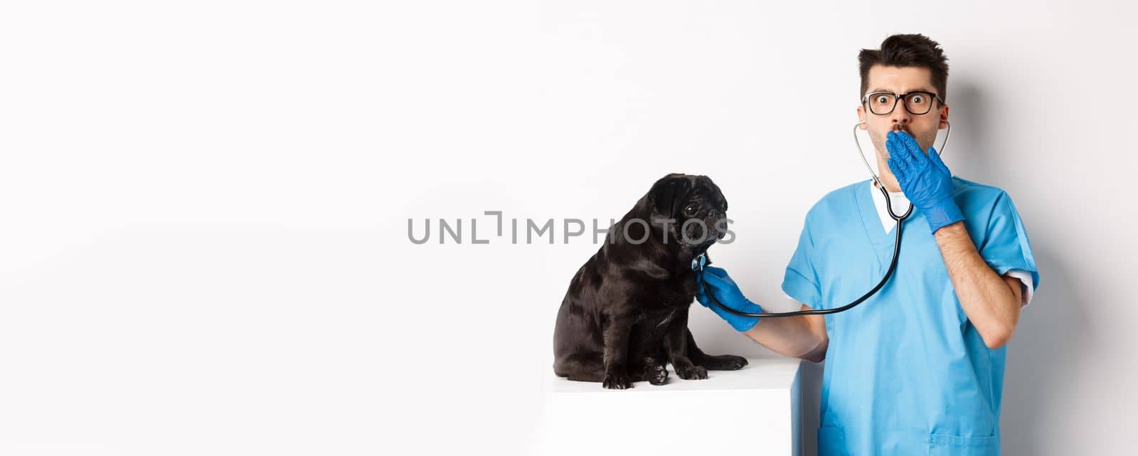 Shocked doctor in vet clinic examining dog with stethoscope, gasping amazed at camera while cute black pug sitting still on table, white background.