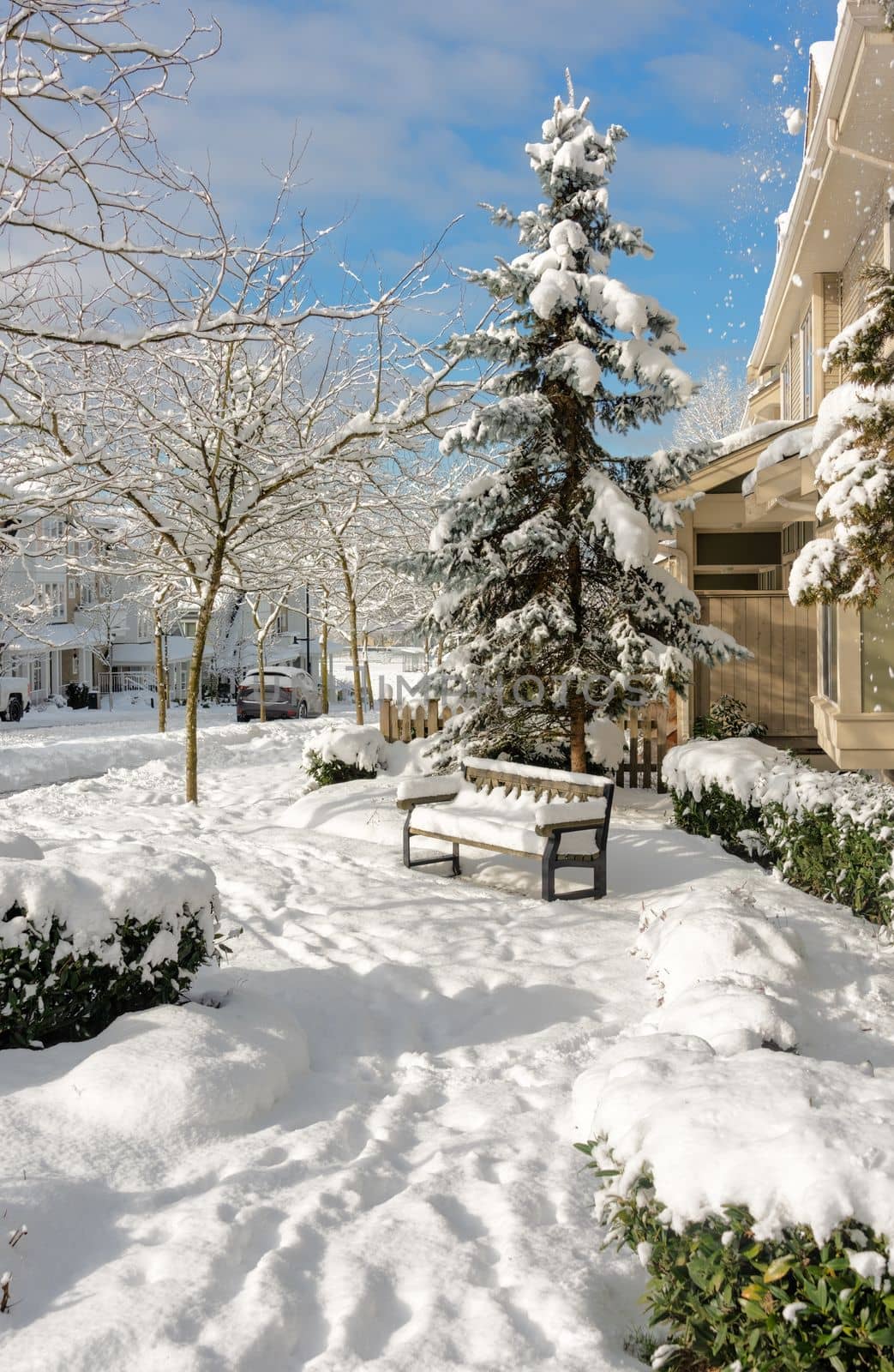 Sunny winter day in residential area of Coquitlam, British Columbia, Canada.