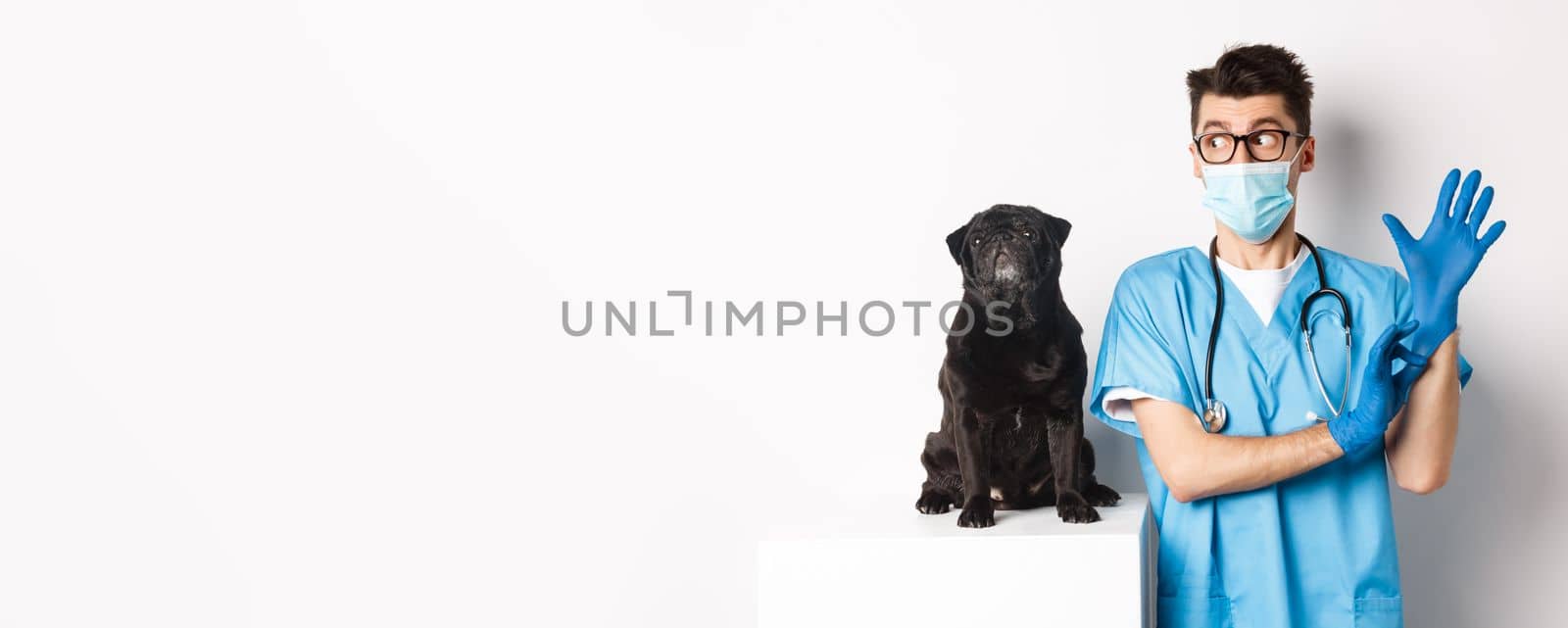 Cheerful doctor veterinarian wearing rubber gloves and medical mask, examining cute black pug dog, standing over white background by Benzoix