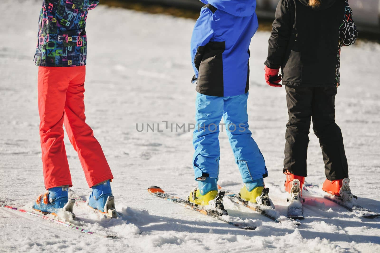 Children in ski suits go skiing
