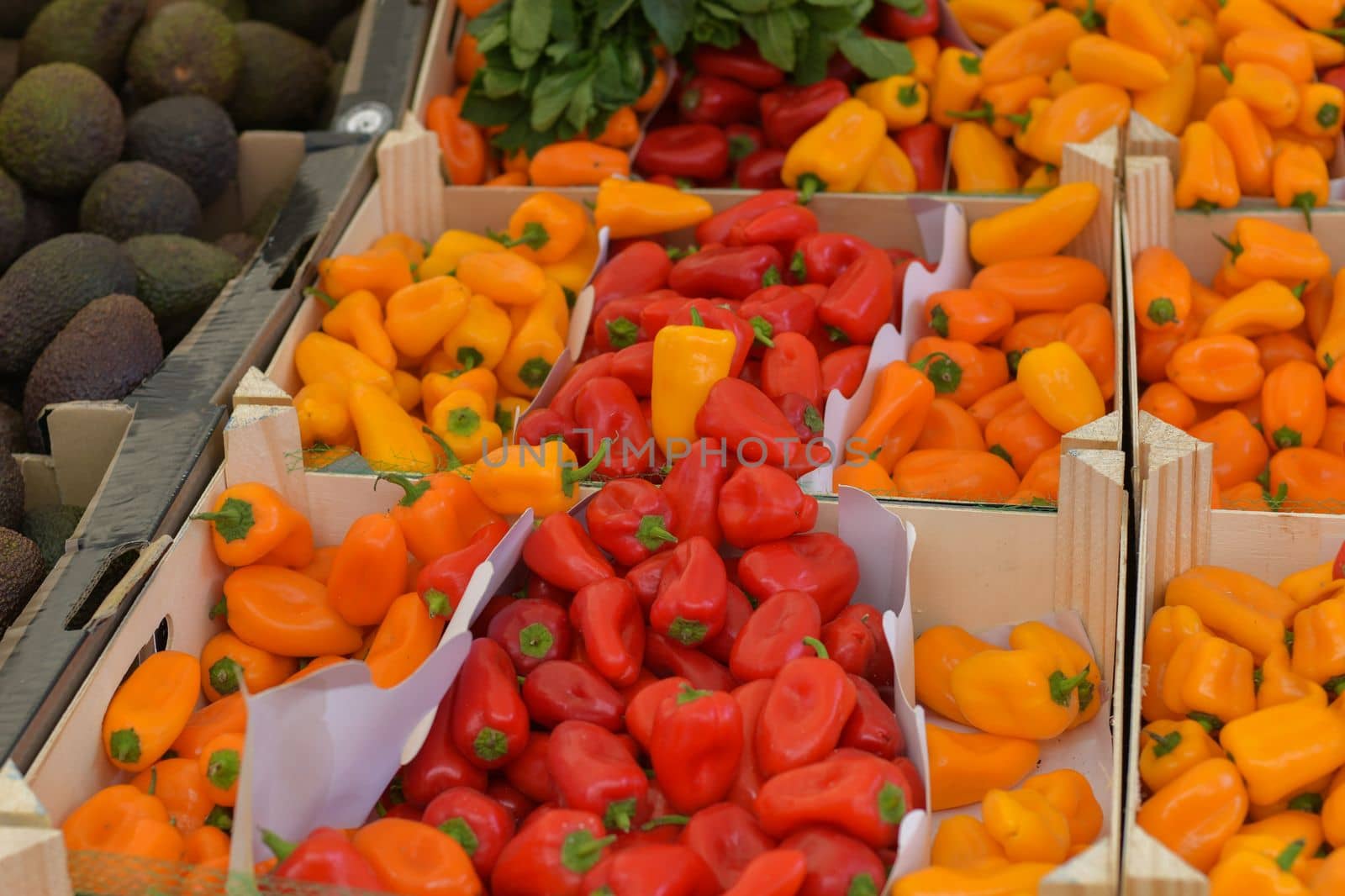 Organic Red and yellow peppers on the fmarket