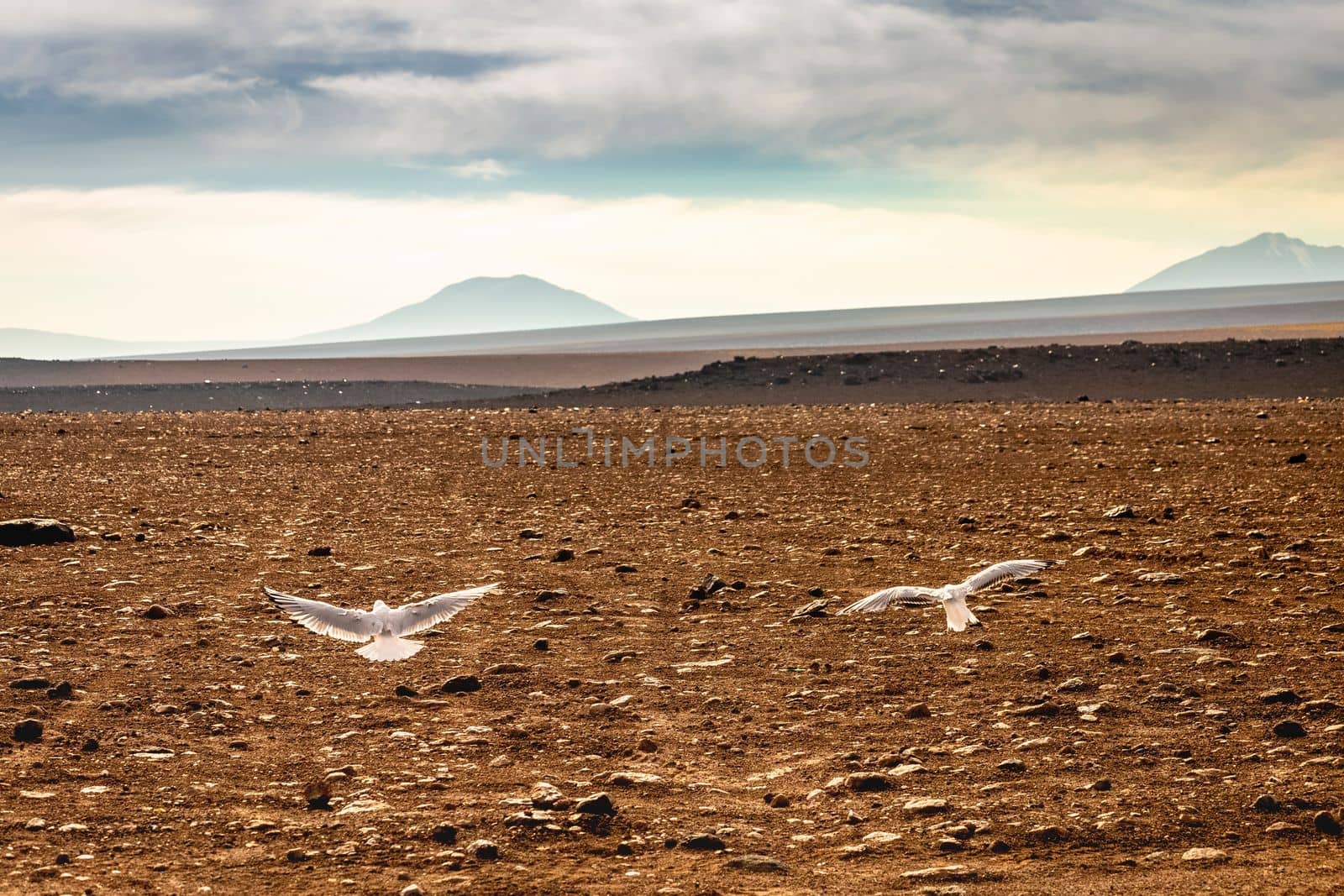 Volcanic landscape in Bolivian andes altiplano near Chilean atacama border, South America