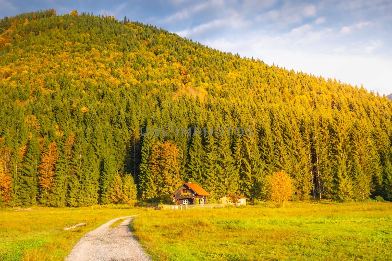 Road in Idyllic Karwendel alps at autumn, tyrol and bavarian alps border, Austria
