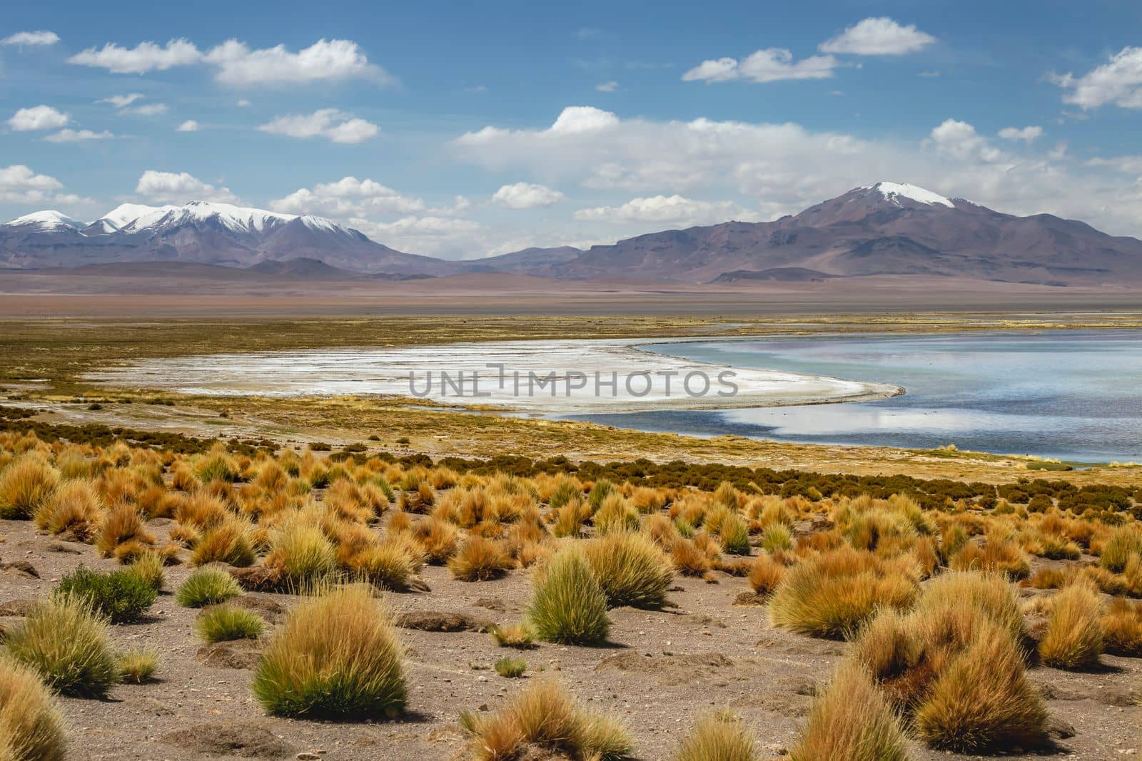 Salt lake reflection and idyllic volcanic landscape at Sunset, Atacama desert, Chile border with Bolivia