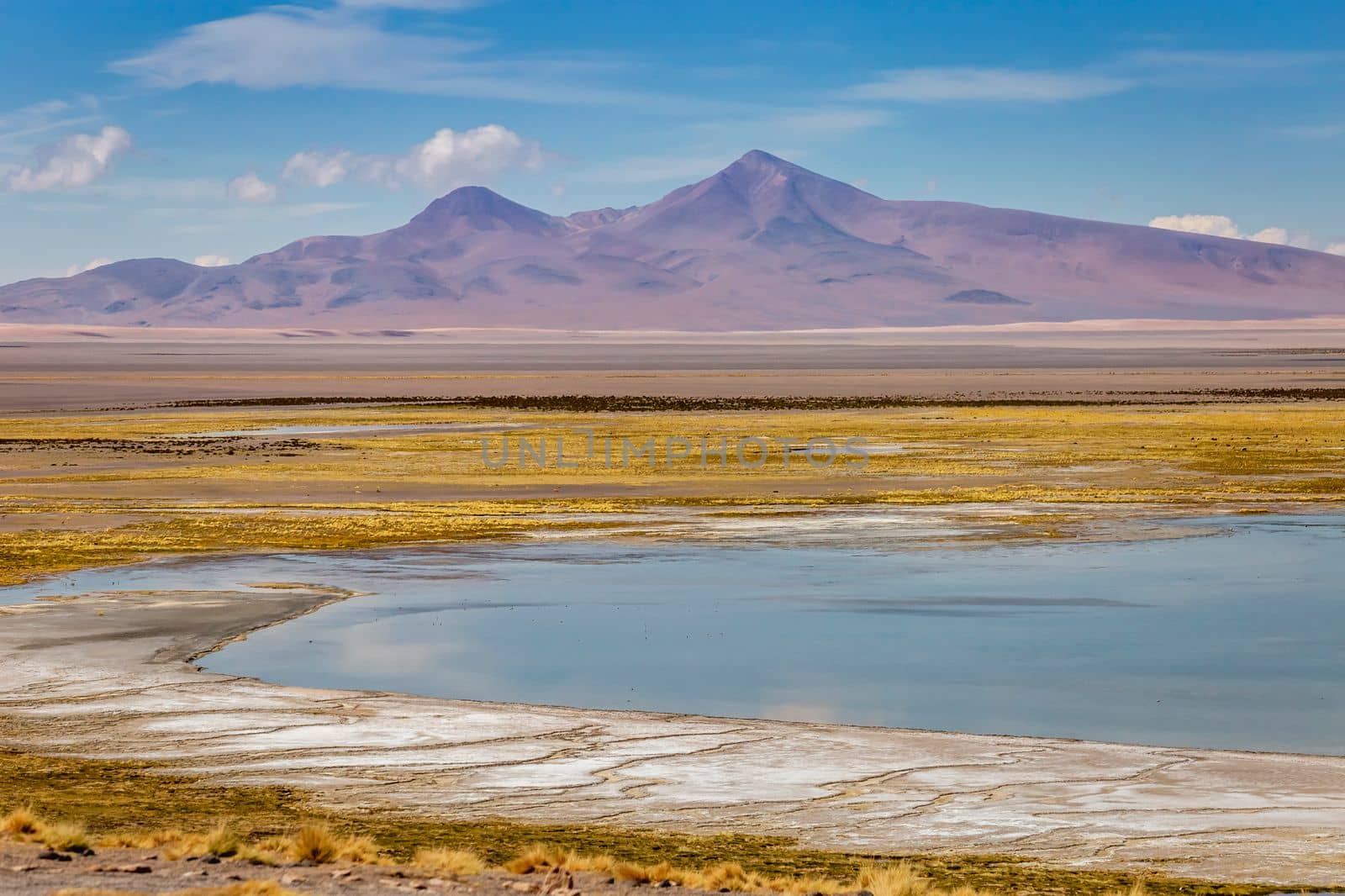 Salt lake reflection and idyllic volcanic landscape at Sunset, Atacama desert, Chile border with Bolivia