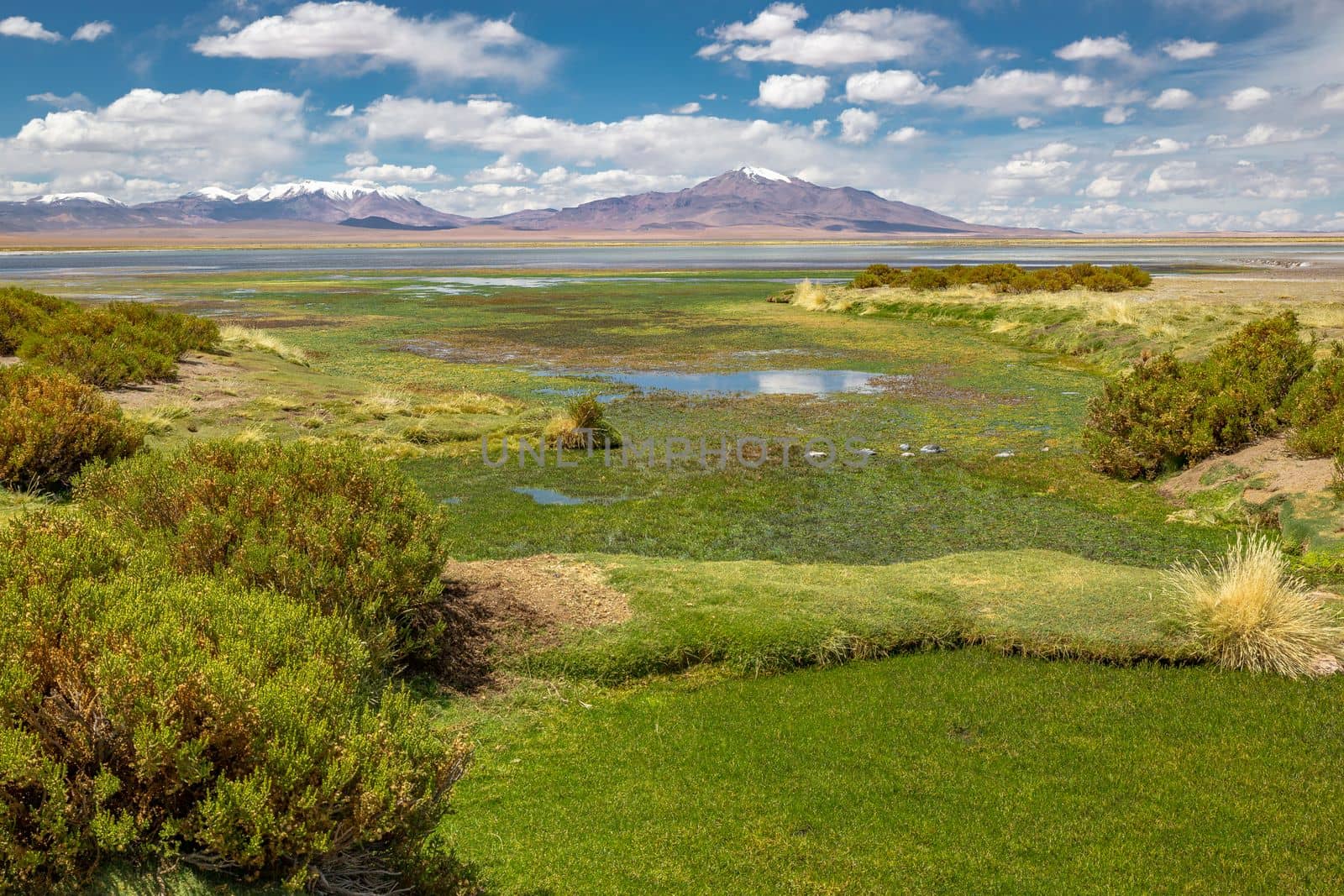 Salt lake reflection and idyllic volcanic landscape at sunrise, Atacama desert, Chile border with Bolivia