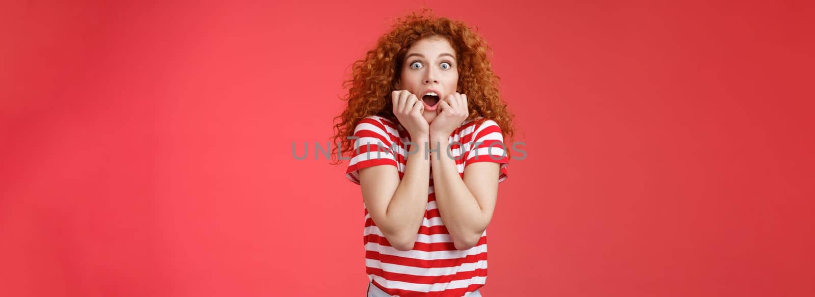 Shocked scared ambushed redhead curly-haired cute girlfriend insecure gasping drop jaw scream frightened stare camera hold hands opened mouth terrified standing stupor red background.