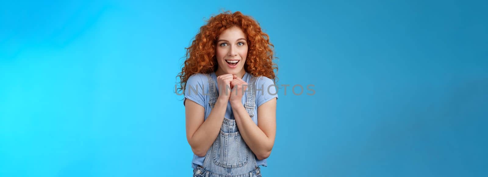 Tender silly sensitive redhead emotive curly girl clench hands together touched smiling gasping see heartwarming scene lovely puppy look camera fascinated delighted gaze impressed blue background by Benzoix