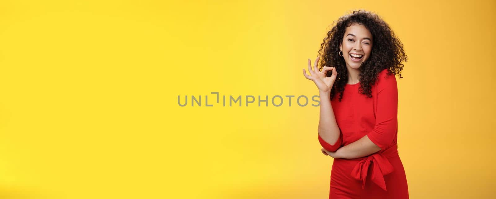 Girl feeling awesome. Friendly-looking excited and upbeat charming girlfriend with curly hair in dress winking playfully and smiling as showing okay gesture having deal and things under control. Body language and facial expressions concept