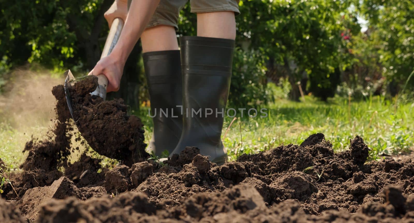 Farmer digging in garden spade soil shovel man farming garden working. Gardener digging soil preparation. Man shoveling dirt shovel in ground. Gardening. Tillage. Dig. Planting. Loosen, Horticulture