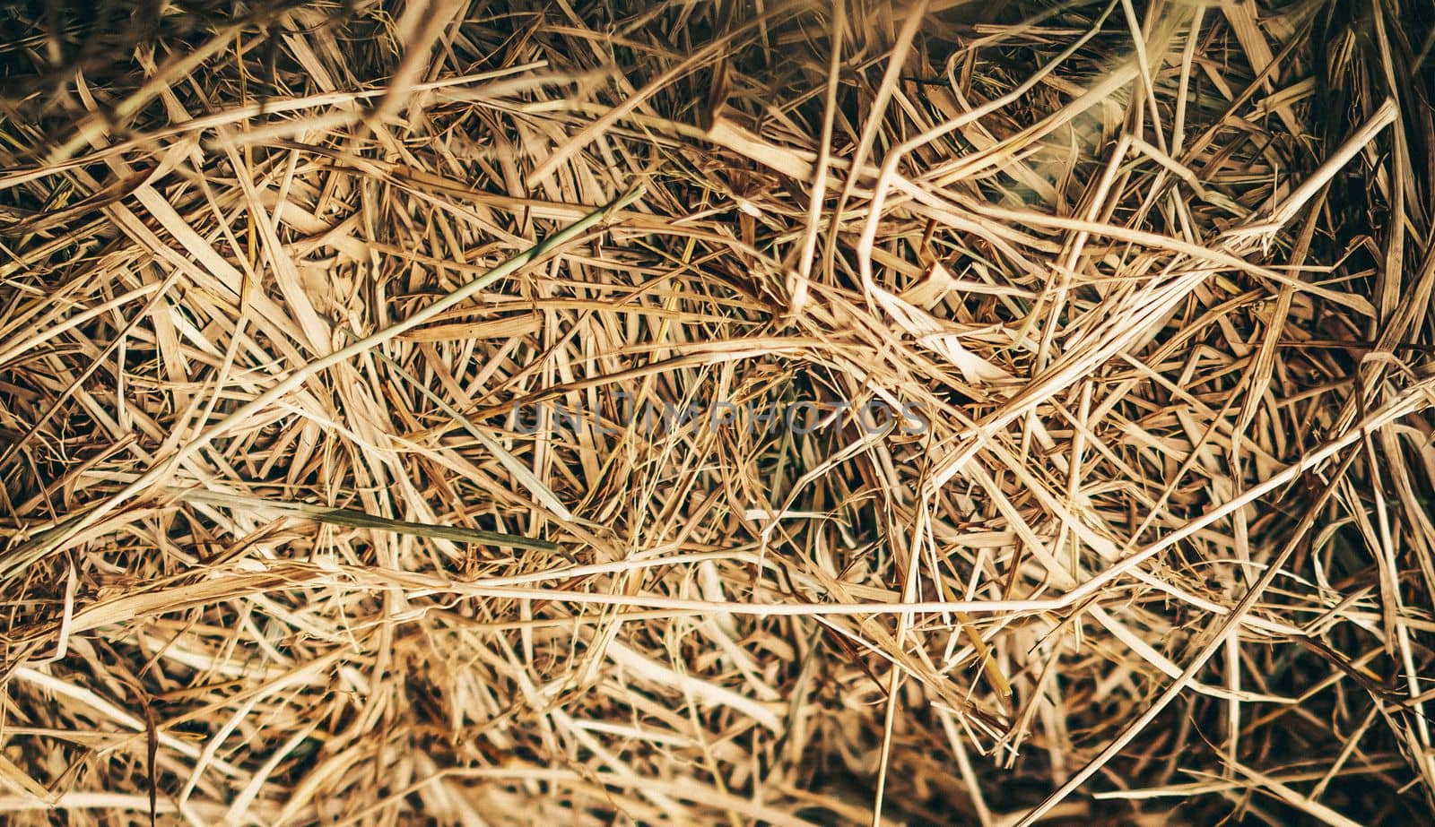 Hay close up bale background wallpaper macro stack beige tangled straw yellow gold.