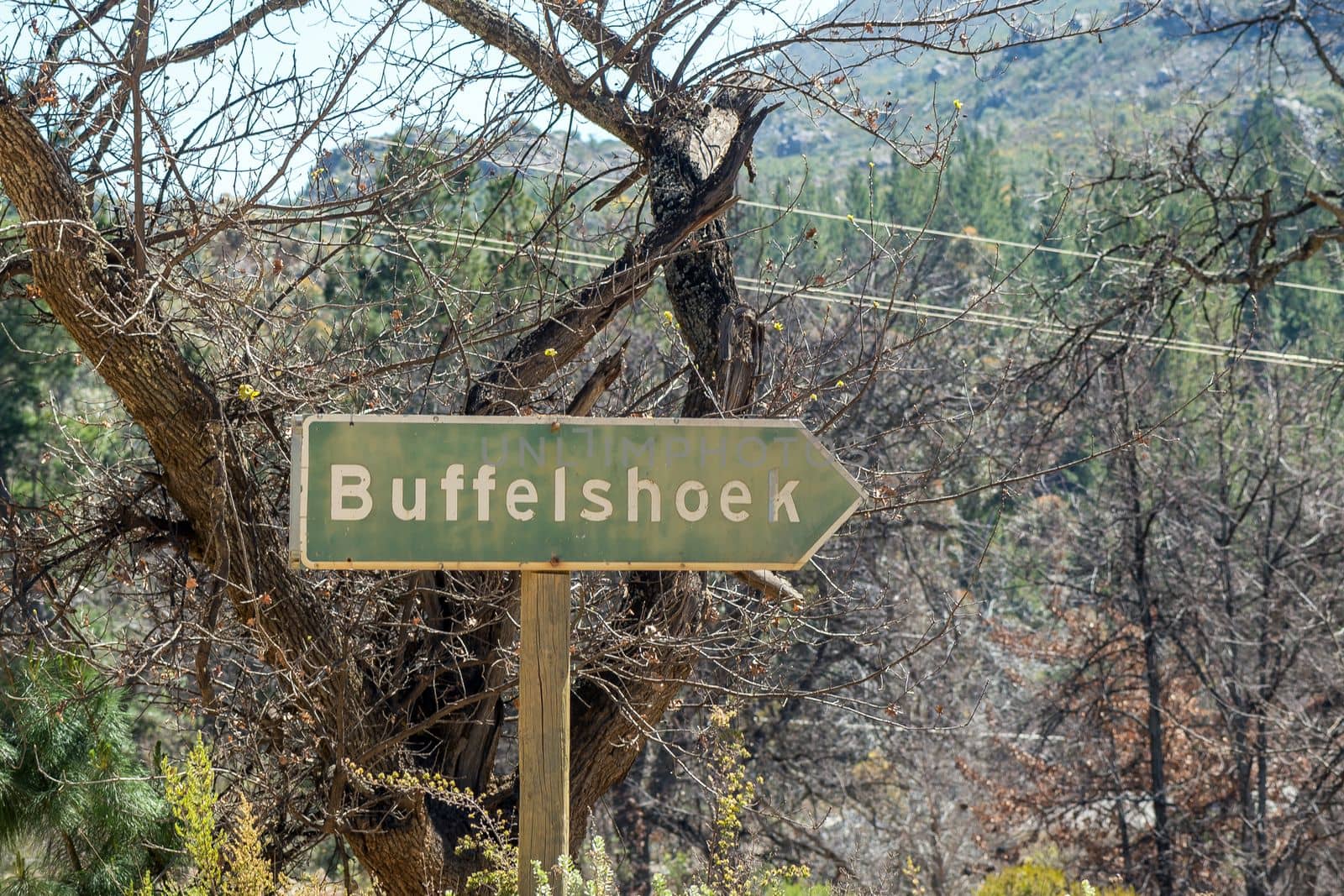 A directional sign at Buffelshoek on road R303 in the Koue Bokkeveld region of the Western Cape Province