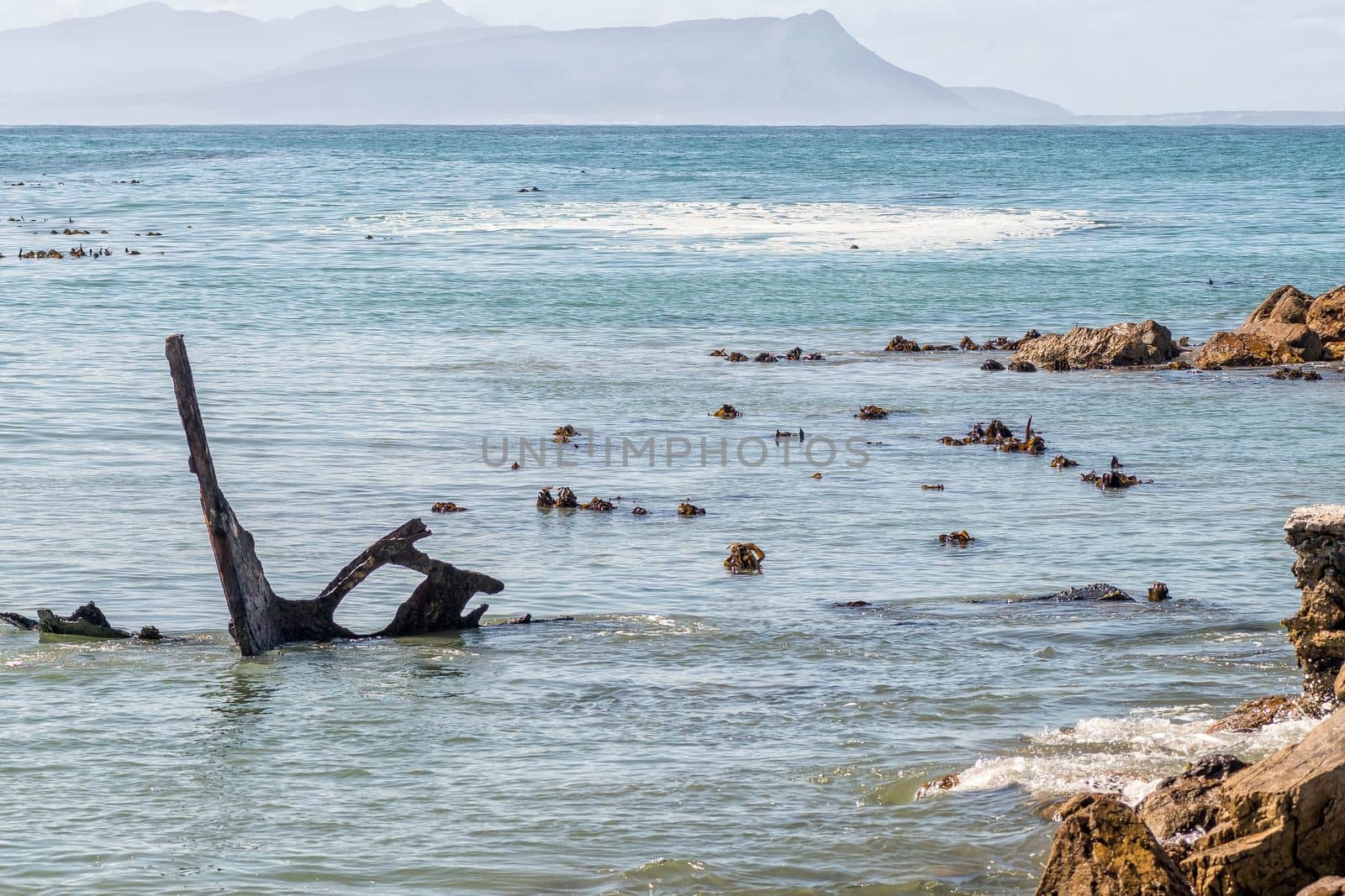 Part of the Una shipwreck is visible at Stony Point Nature Reserve in Bettys Bay.