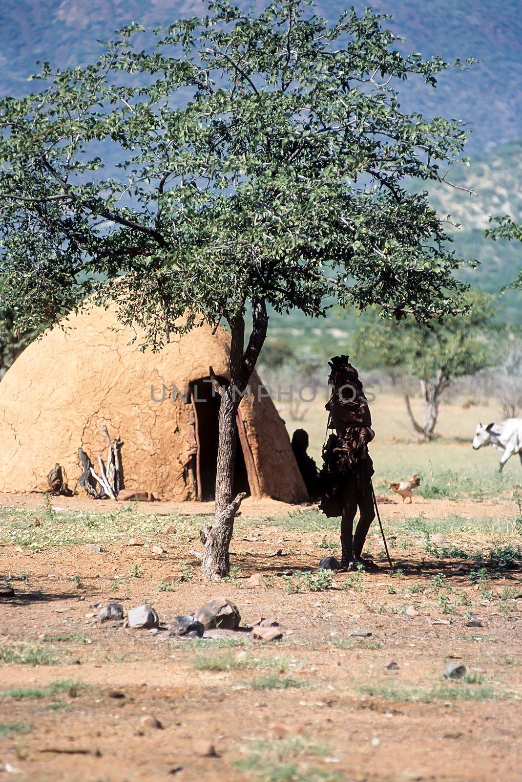 May 15, 2005.Himba village. unidentified Himba women with the traditional hairstyle, necklace and the typical ochre tinted skin. Epupa Falls, Kaokoland or Kunene Province, Namibia, Africa