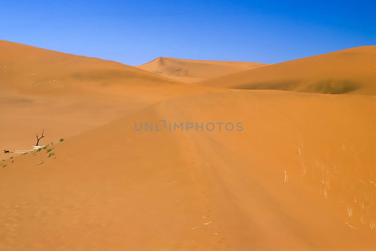 Africa, Namibia, Hardap, Namib Naukluft Park, Deadvlei