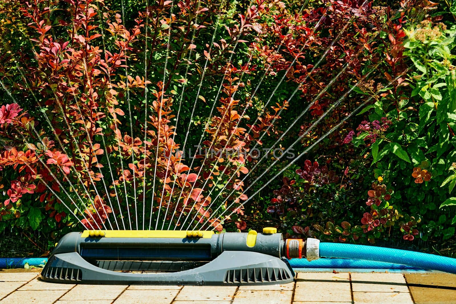 the supply of water to land or crops to help growth, typically by means of channels. Irrigation system, sprinkler watering flowers on a hot day in a city park.