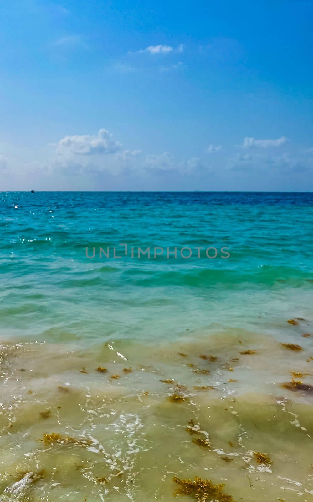 Tropical Caribbean beach landscape panorama with clear turquoise blue water and seaweed sargazo in Playa del Carmen Mexico.