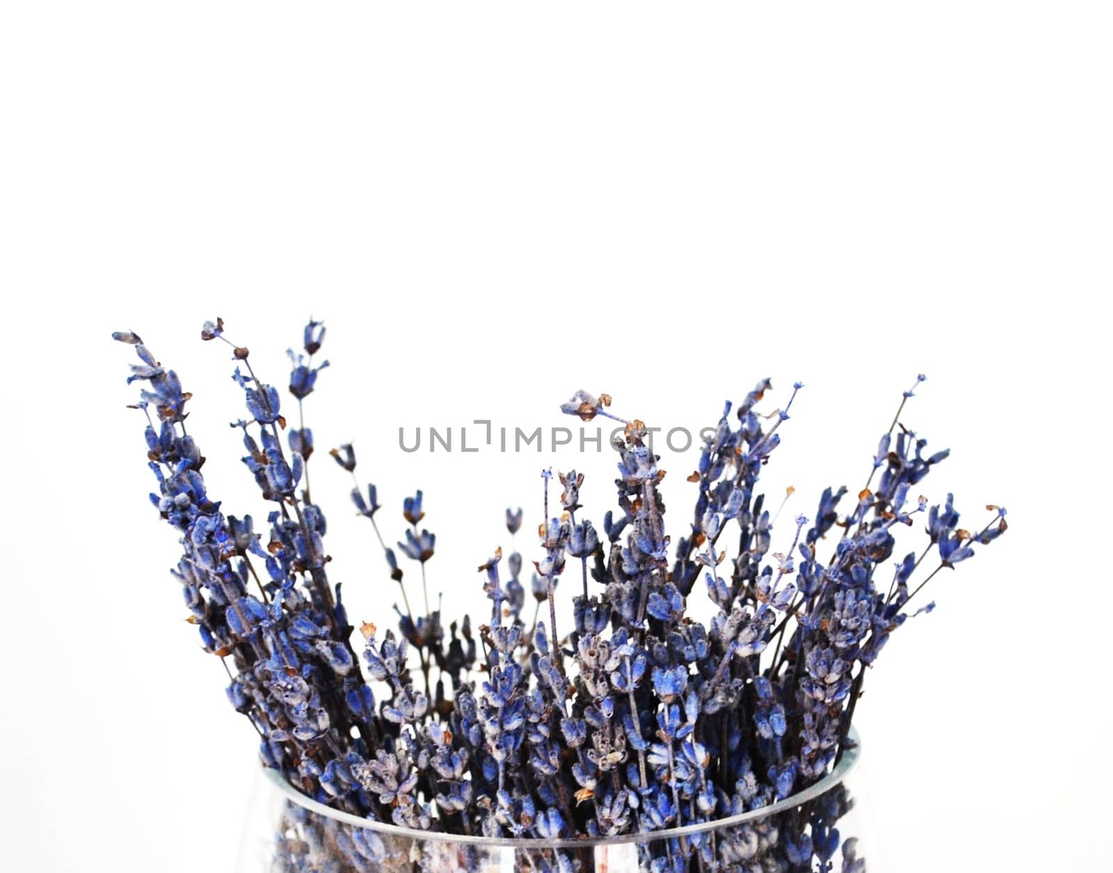 Bouquet of dried lavender. The photo shows a bouquet of dried lavender in a glass vase on a white background.