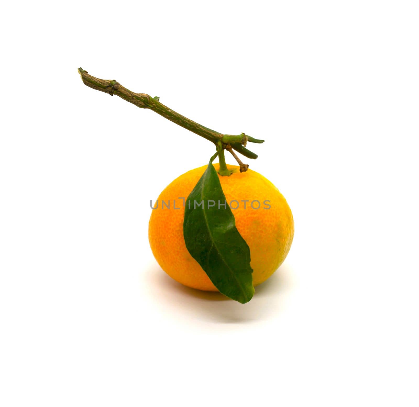 Tangerine with leaves close-up. Tangerine with leaves on a white background.