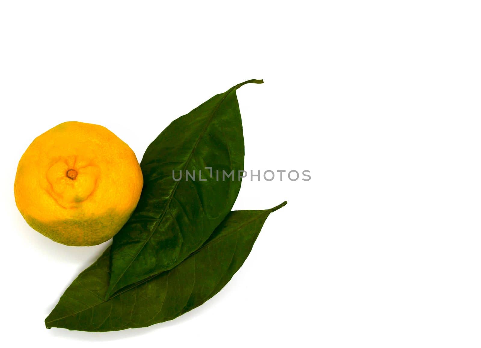 Tangerine and leaves. Tangerine and leaves on a white background, close-up.