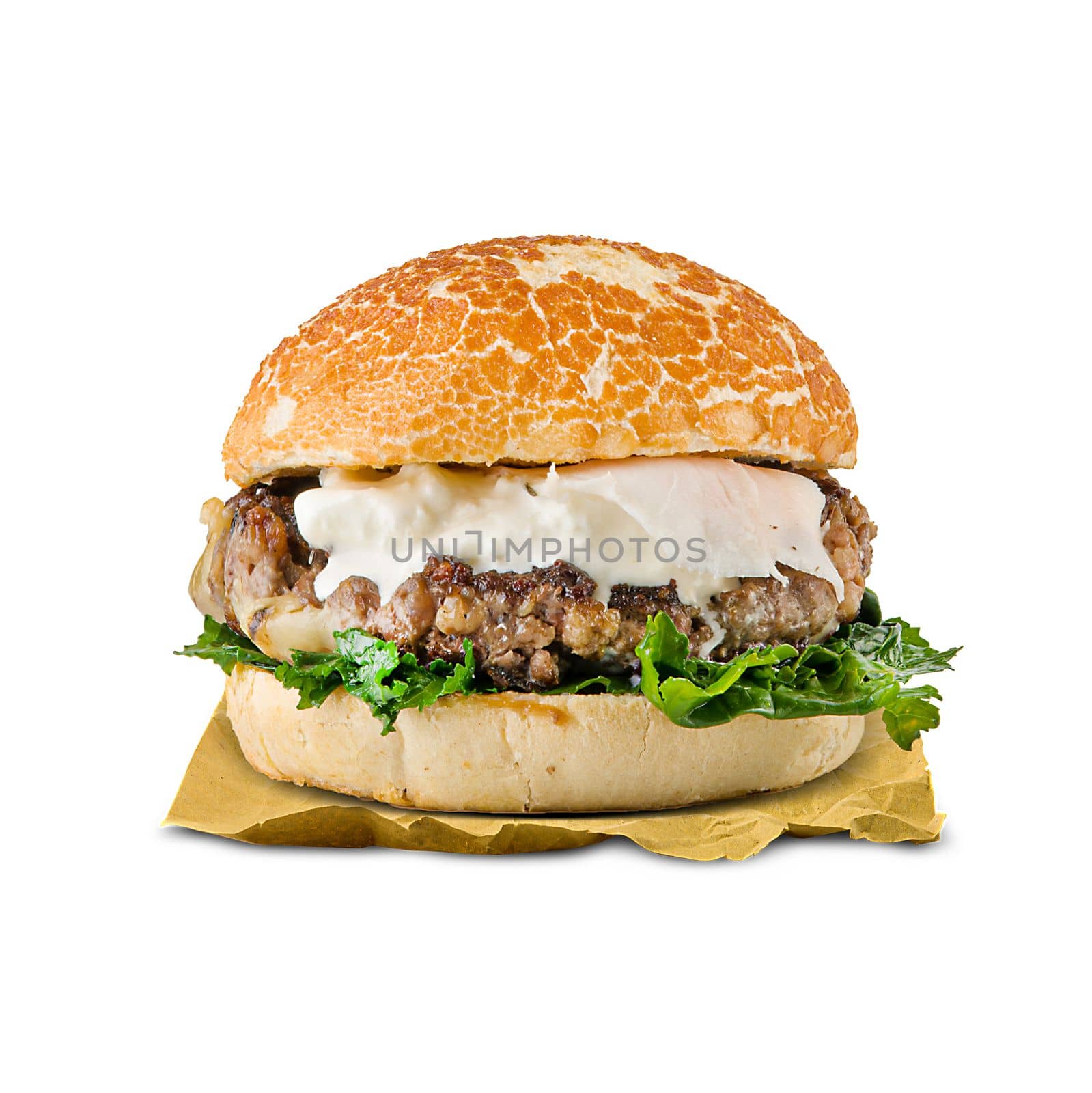 Special Hamburger gourmet with fresh cheese