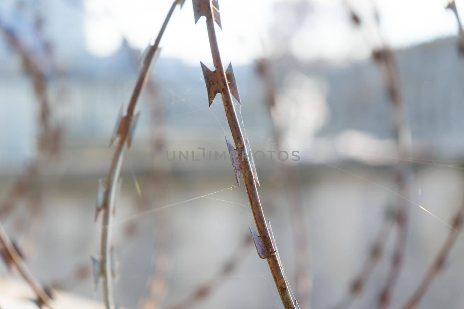 Barbered wire over blue sky and on building ground, rusty