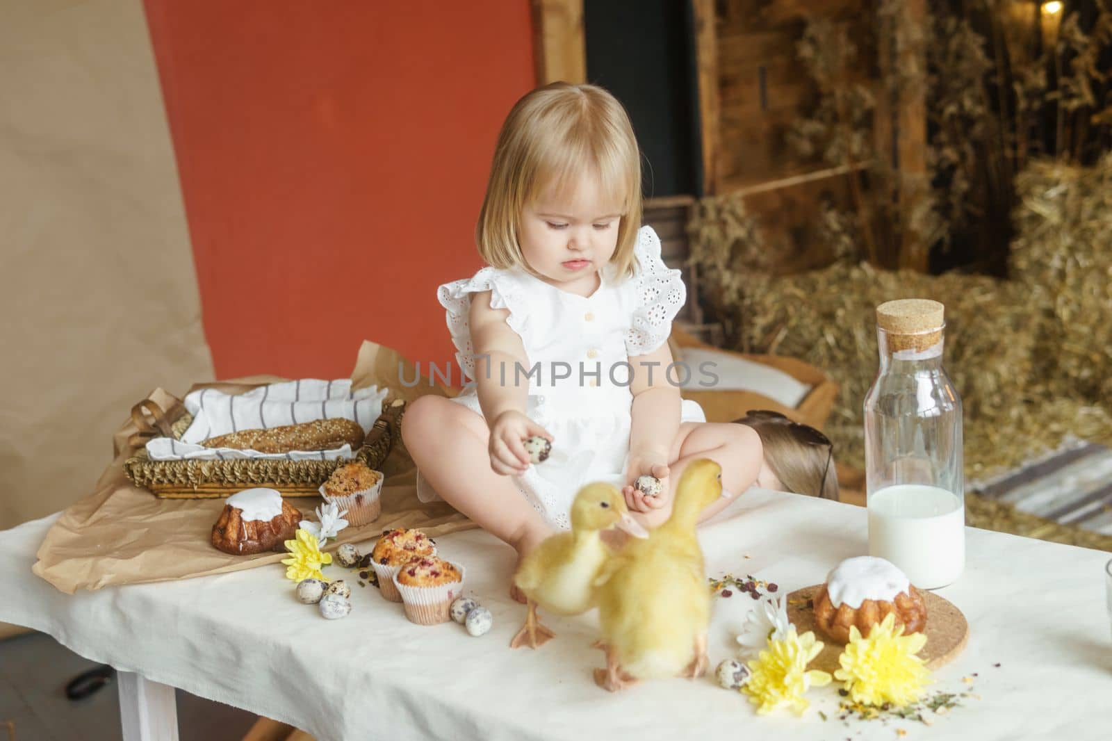 A little girl is sitting on the Easter table and playing with cute fluffy ducklings. The concept of celebrating happy Easter