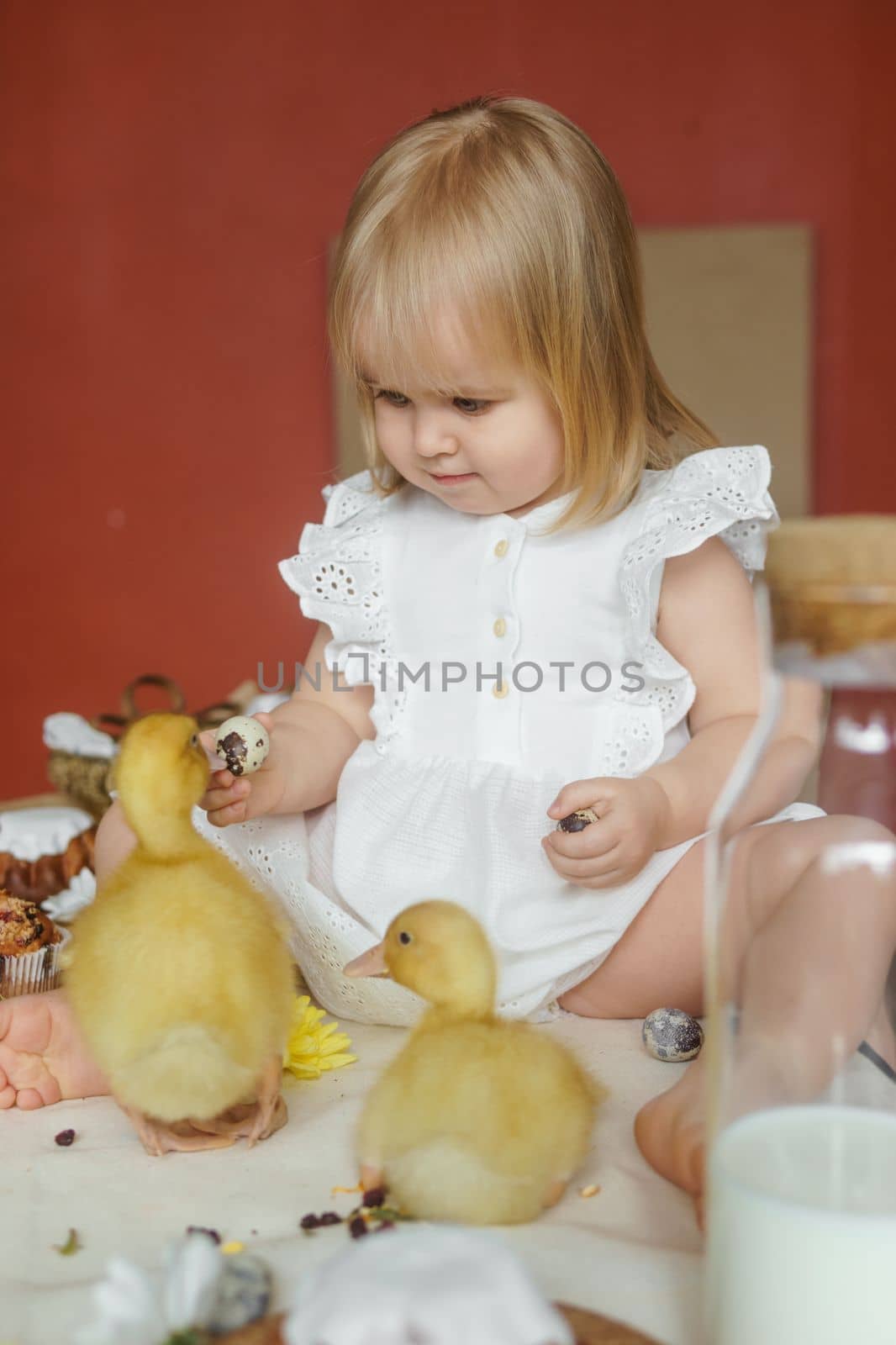 A little girl is sitting on the Easter table and playing with cute fluffy ducklings. The concept of celebrating happy Easter