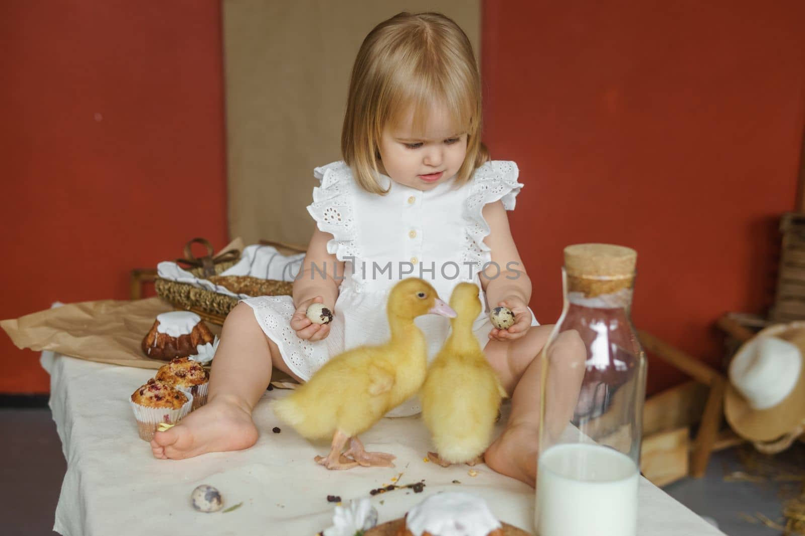 A little girl is sitting on the Easter table and playing with cute fluffy ducklings. The concept of celebrating happy Easter. by Annu1tochka