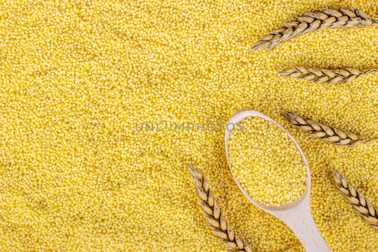 Grains of wheat and wheat spikelets. Top view