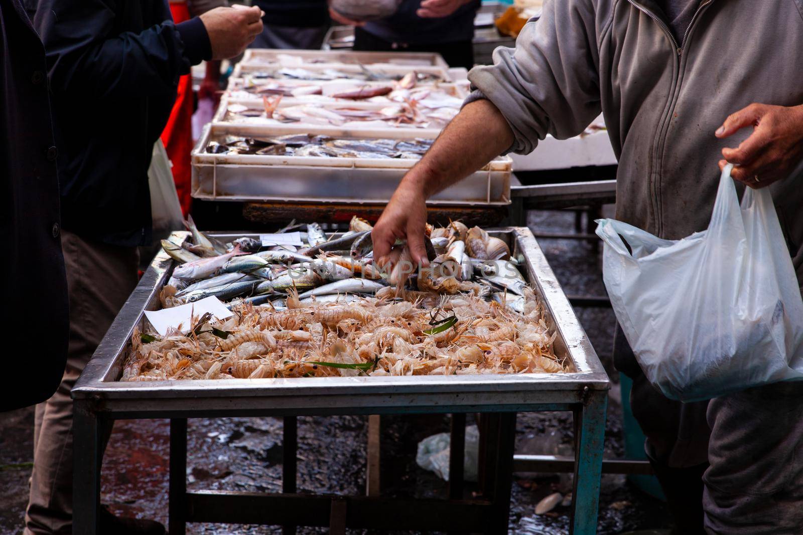 CATANIA, ITALY - APRIL, 26: Salesman next to his fish stall selling sea cicadas in the street fish market on April 26, 2019