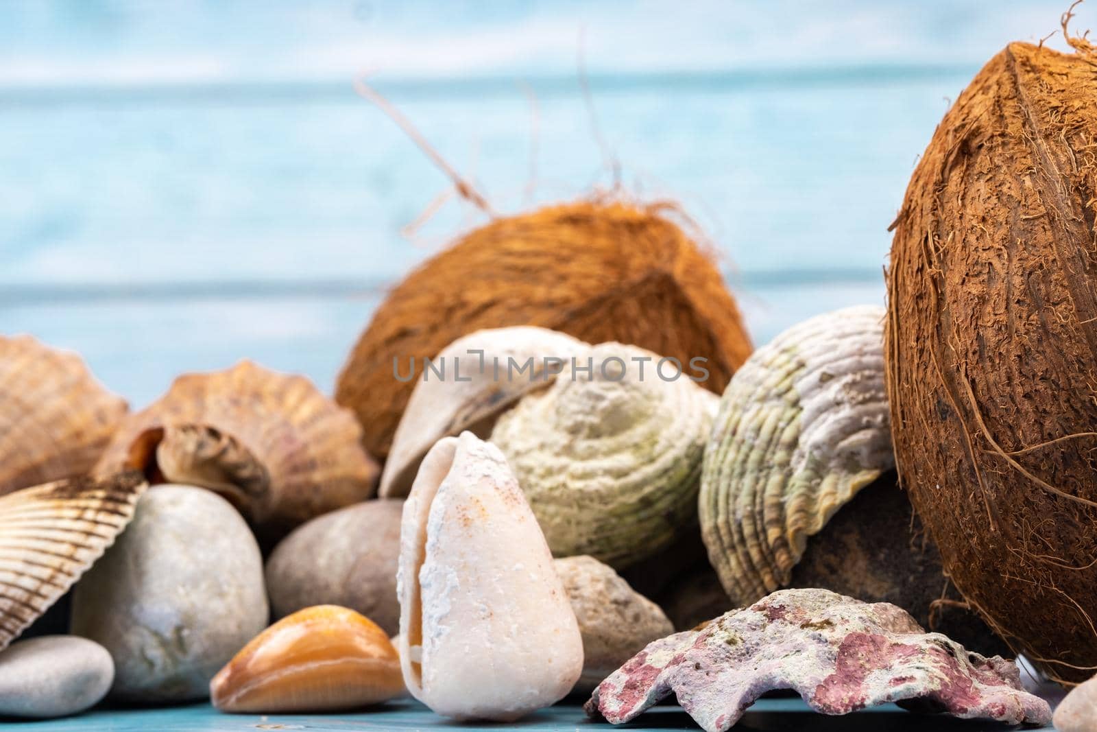 coconuts, rocks and shells on a blue wooden background.Marine theme.