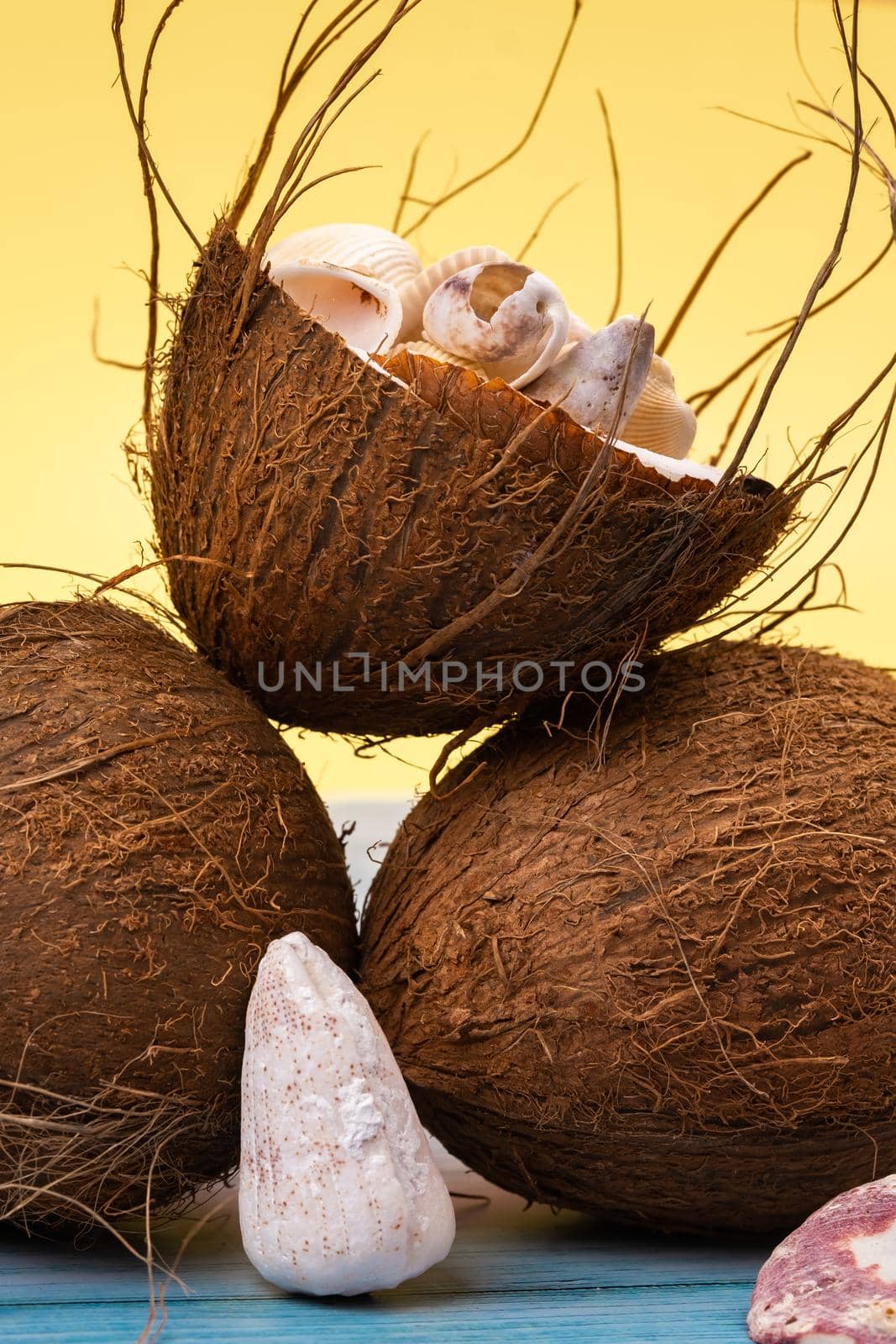 coconuts and shells on a yellow and blue wooden background .Marine theme.