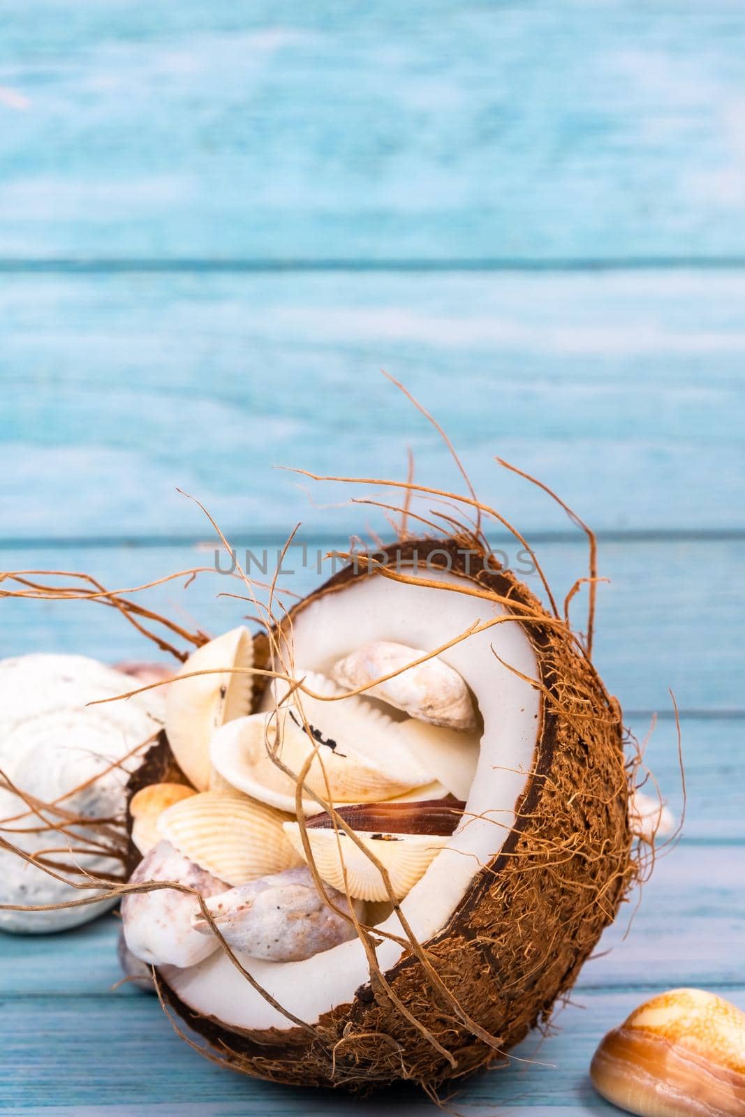 coconuts and seashells on a blue wooden background .Marine theme.