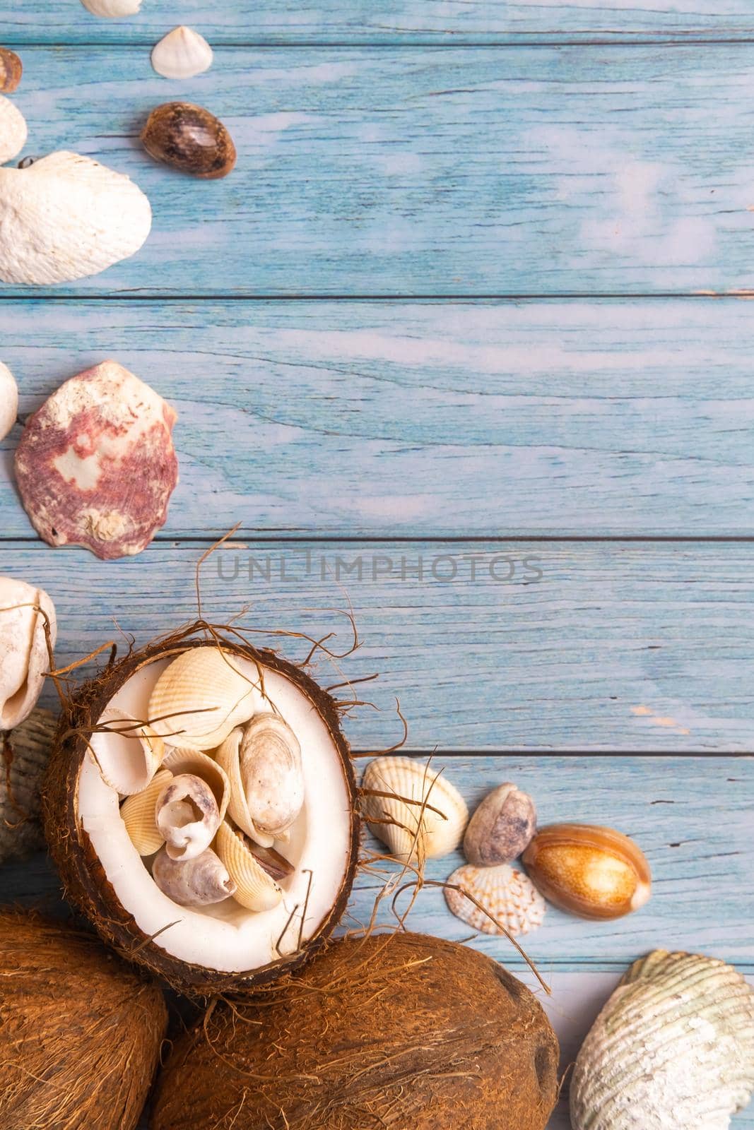 coconuts and seashells on a blue wooden background .Marine theme.