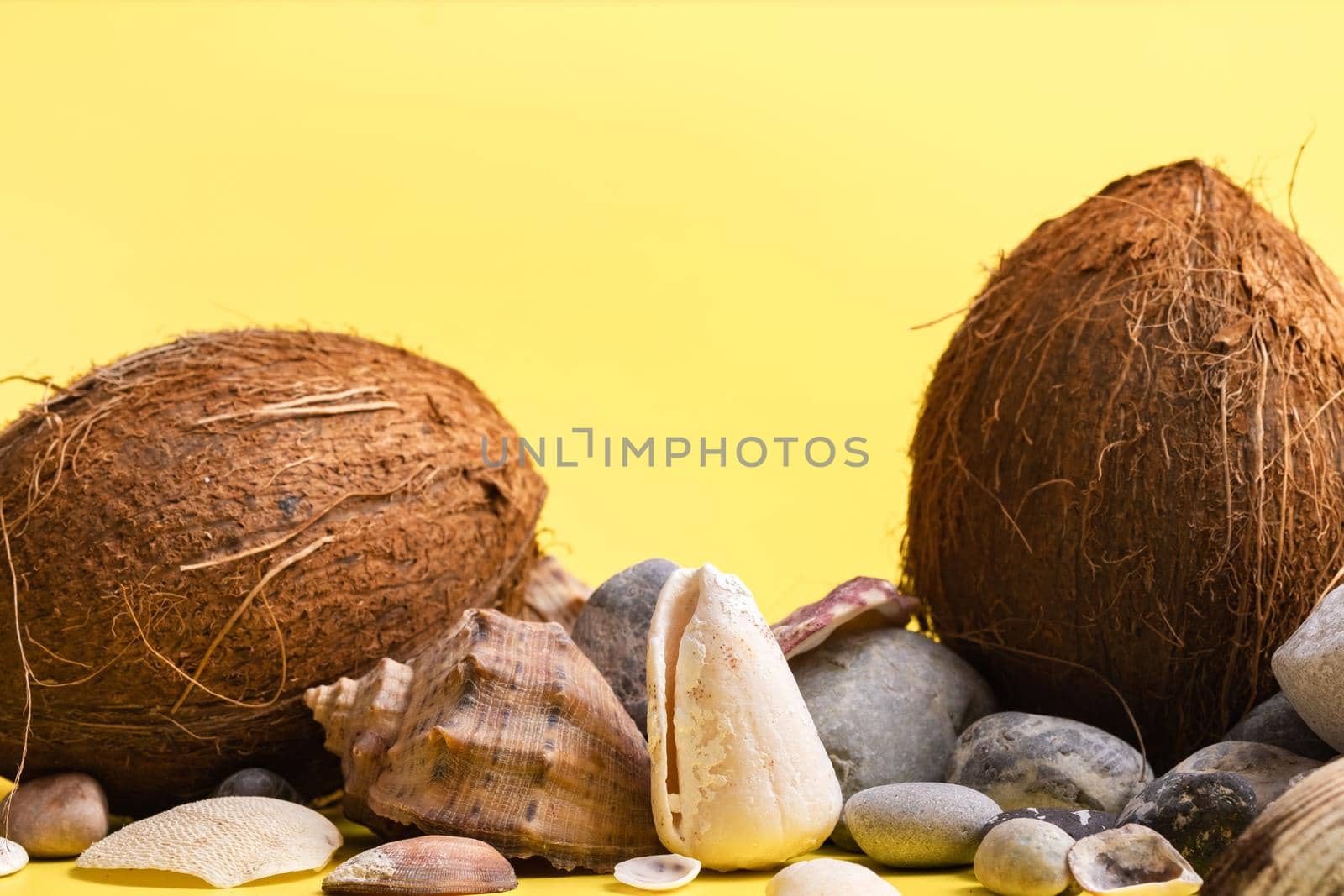 Coconuts, rocks and shells on a yellow background .Marine theme.
