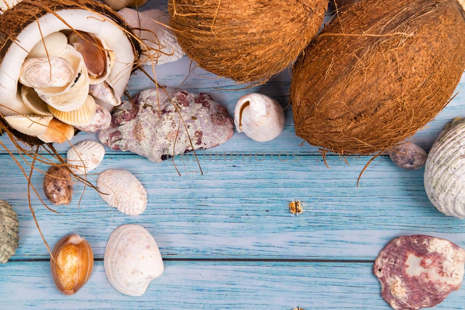 coconuts and seashells on a blue wooden background .Marine theme.