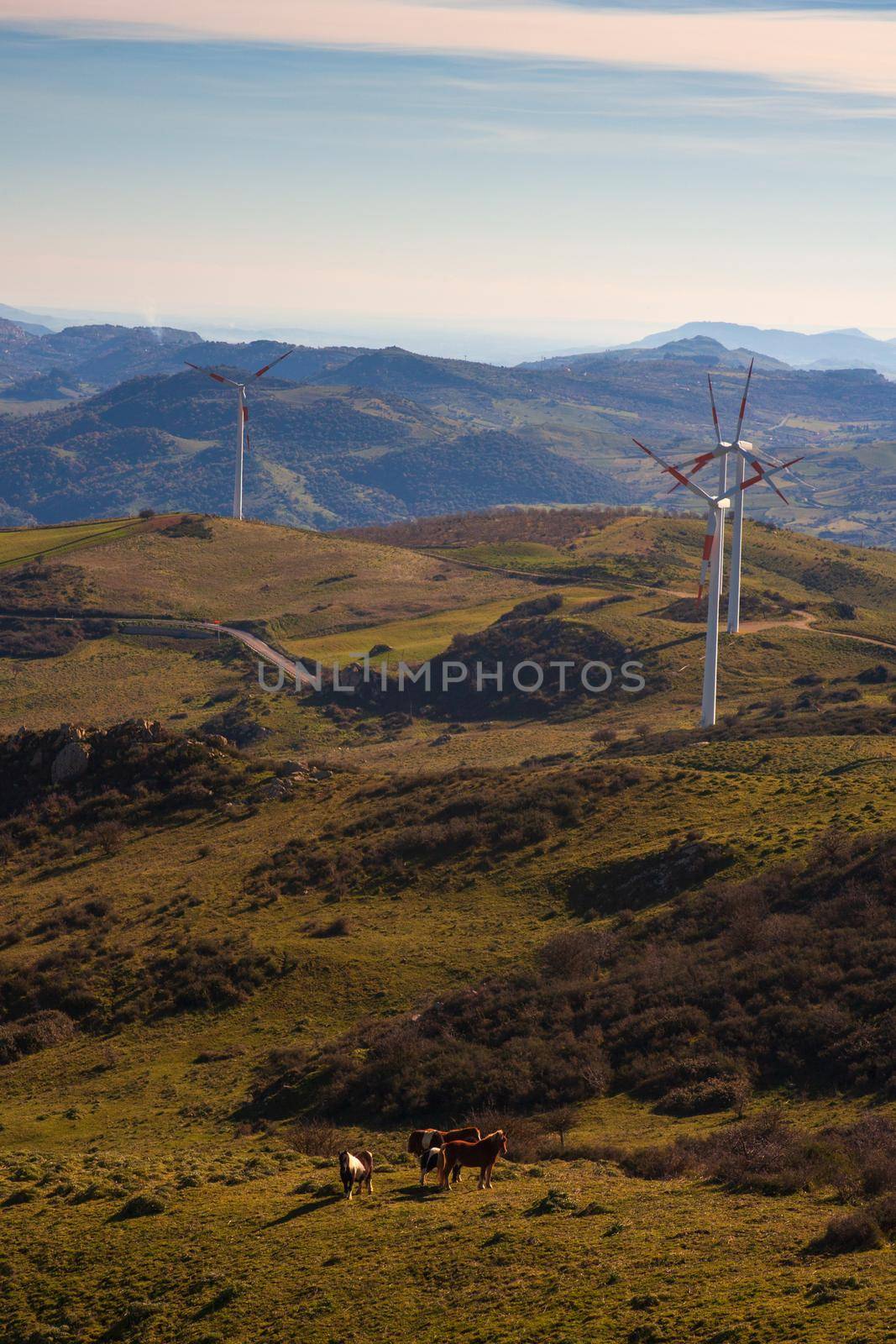 View of windmills in the Sicilian countryside. Etna volcano in the background