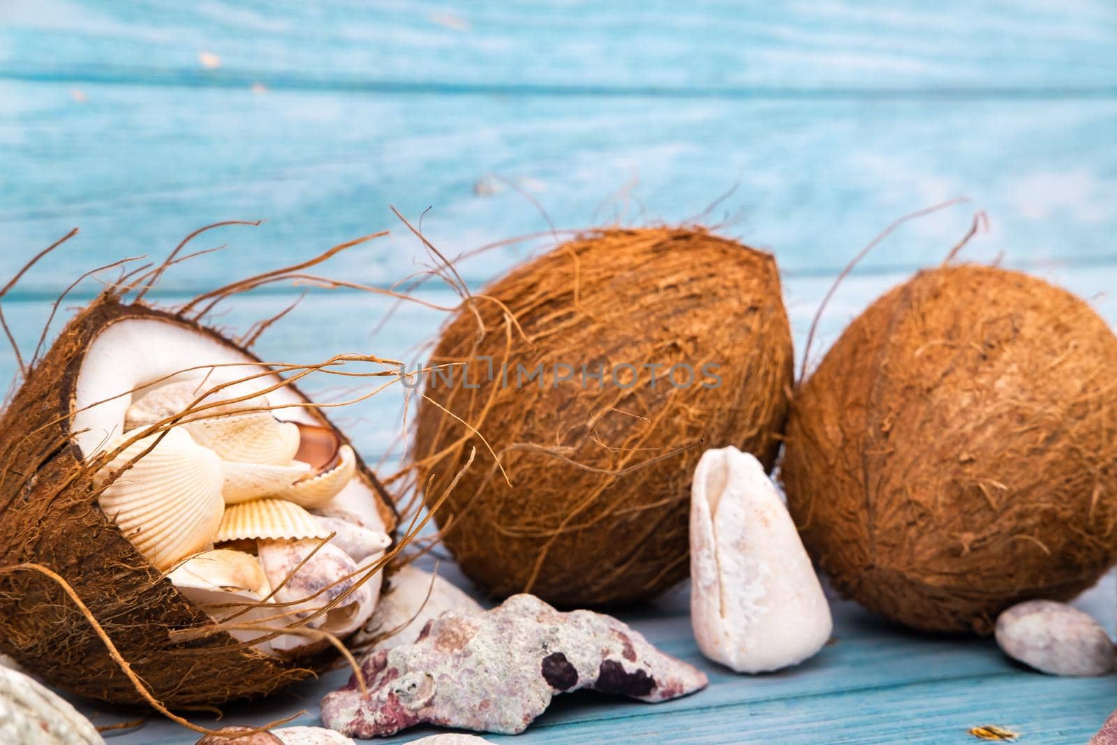 coconuts and seashells on a blue wooden background .Marine theme.