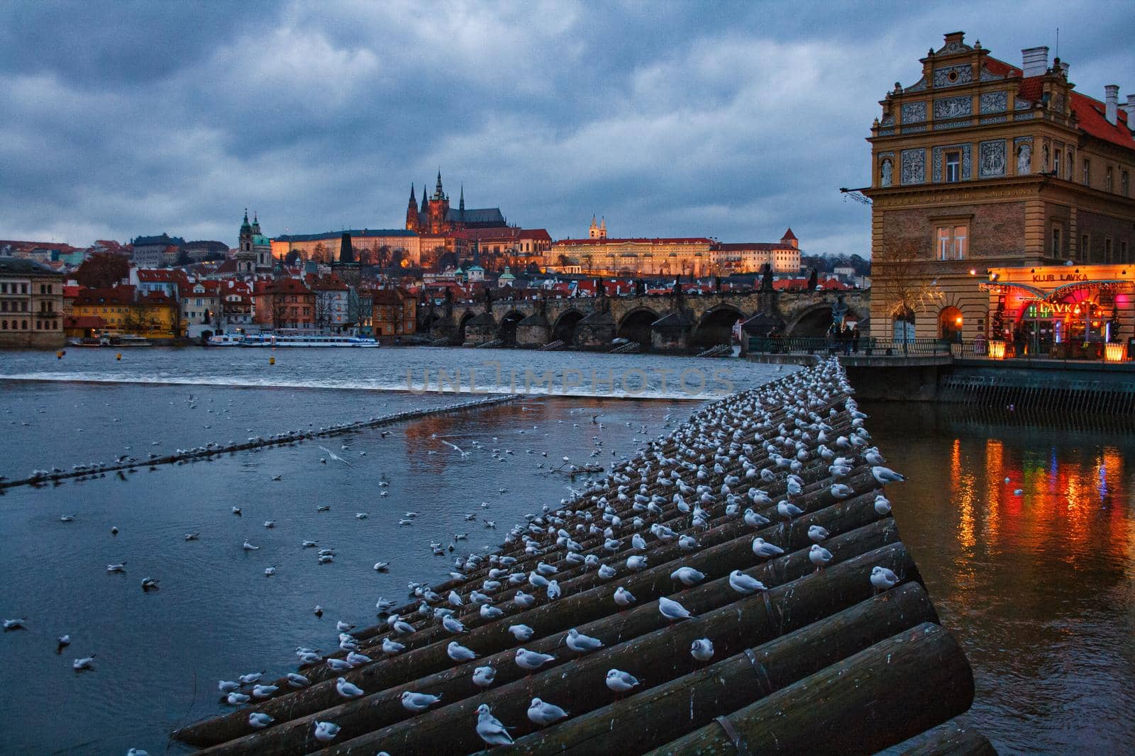 View of Prague on the Danube river in the evening, Czech Republic