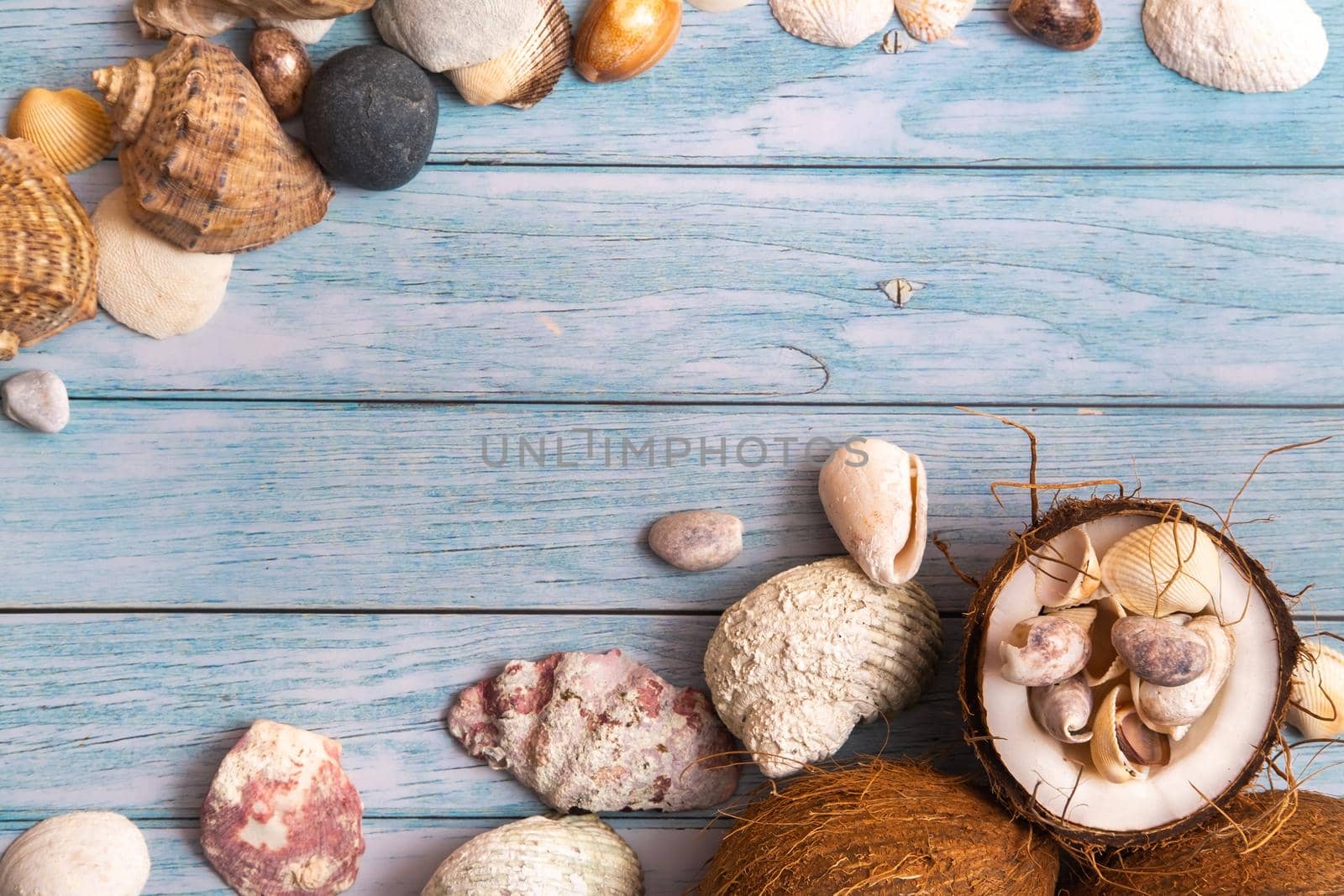 coconuts and seashells on a blue wooden background .Marine theme.