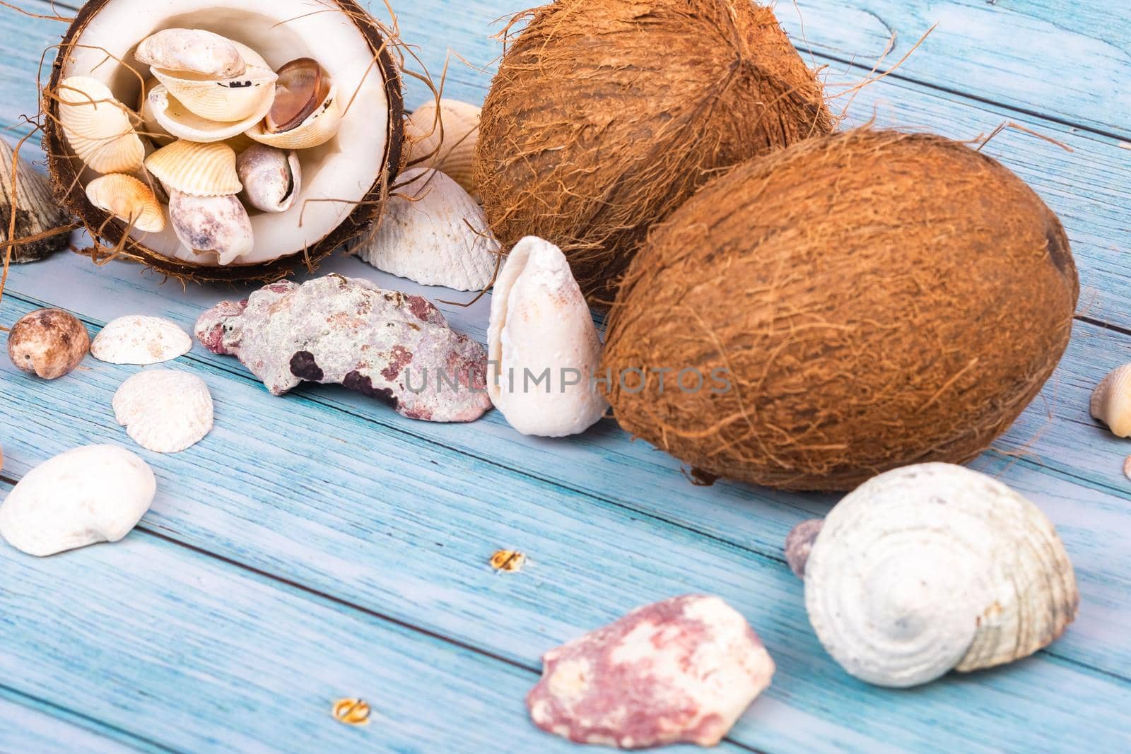 coconuts and seashells on a blue wooden background .Marine theme.