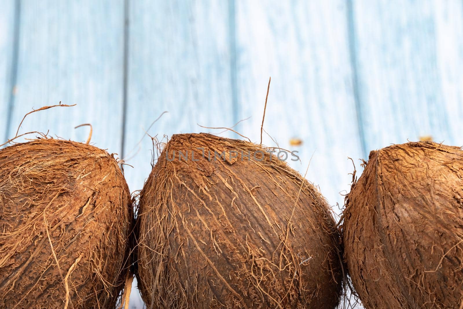 Whole coconuts on a blue wooden background.three shaggy coconuts lie on an isolated background by Lobachad