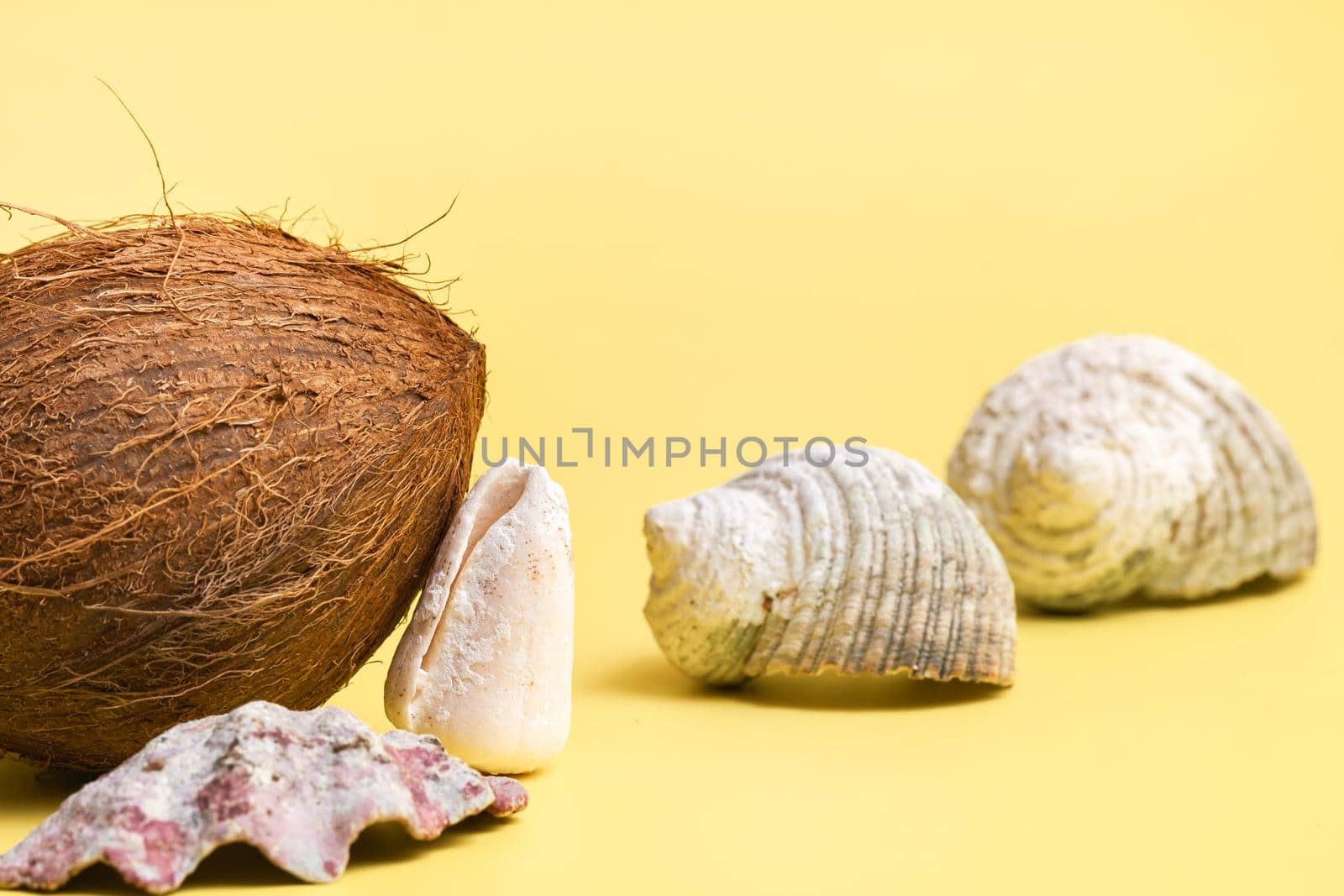 Whole Coconuts and shells on a yellow background .Marine theme by Lobachad