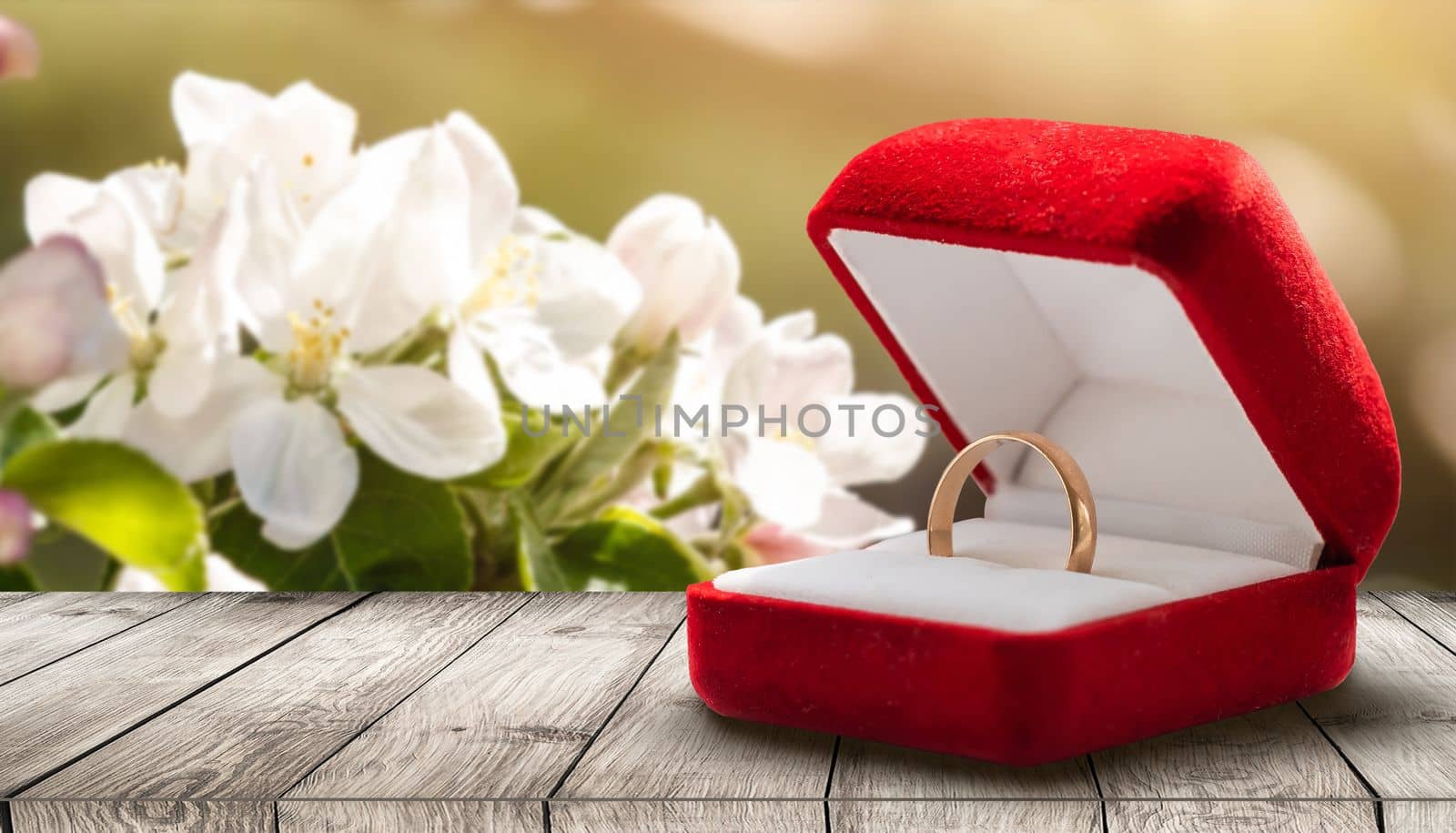 close up view of white flowers, wedding rings in box with plants inside by Andelov13
