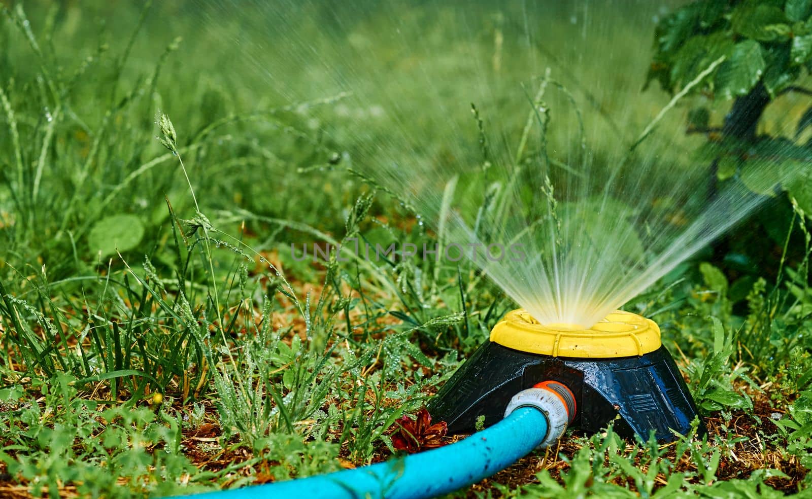 the supply of water to land or crops to help growth, typically by means of channels. Irrigation system, sprinkler watering flowers on a hot day in a city park.