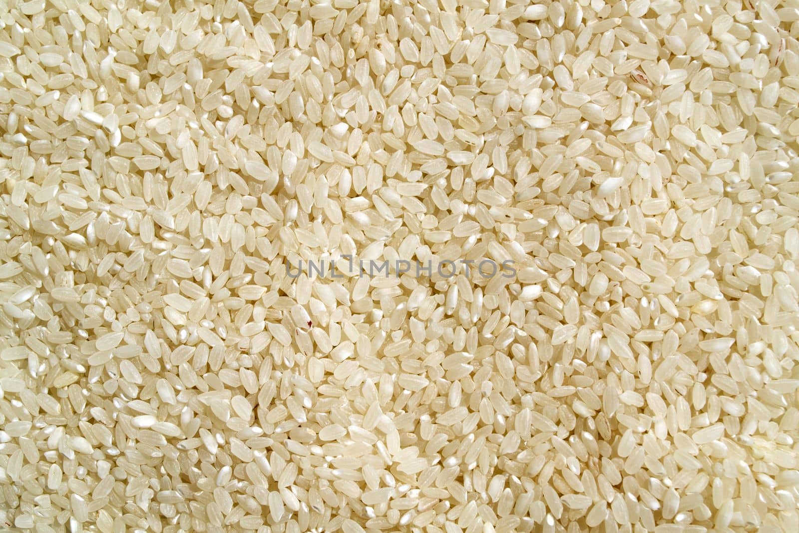 Background, texture, white rice. White rice close up.