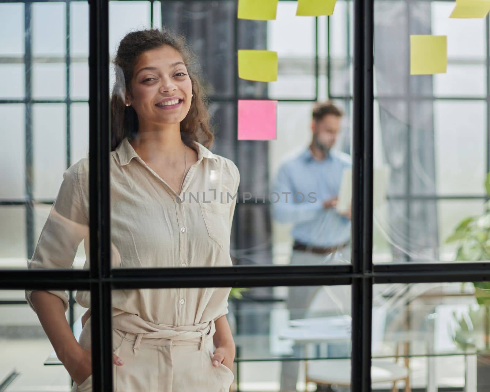 Bringing her vision to life. Shot of a confident businesswoman presenting an idea to her colleague using adhesive notes on a glass wall in the office.