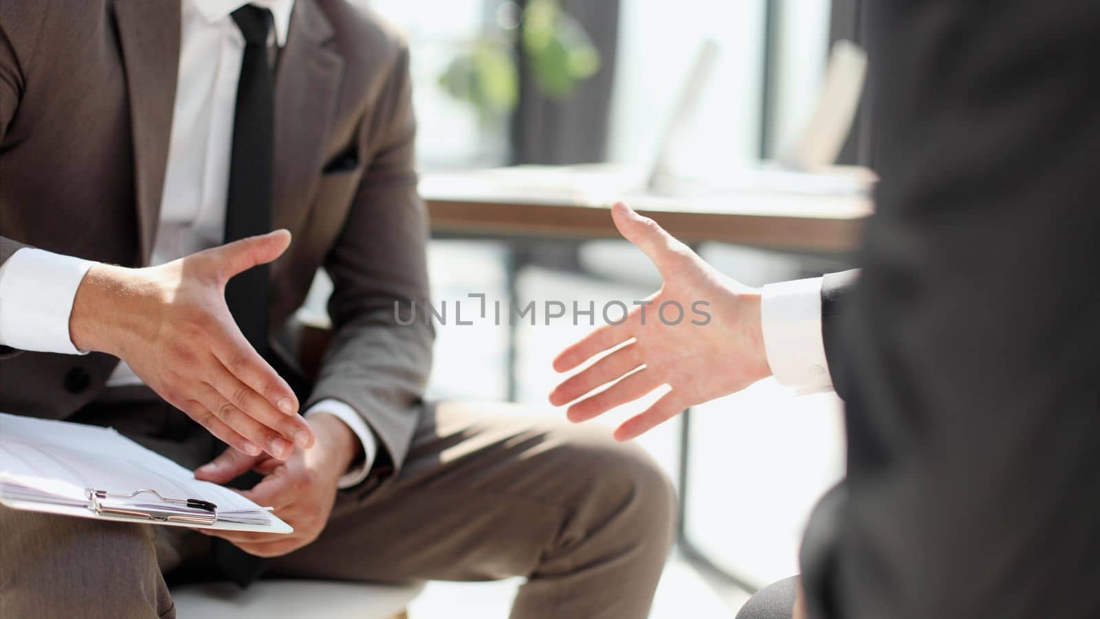 Successful business people handshaking after good deal.